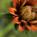 大爆奖注册送58元,豪华好礼不停送,注册即可领取超值礼包 ho97f