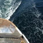 481开奖图最新公布,速来查看中奖详情! 5h9hm