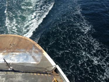 481开奖图最新公布,速来查看中奖详情!