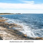 2025309期双色球开奖号码结果查询与公布 7oqw9