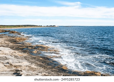 2025309期双色球开奖号码结果查询与公布