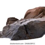 2025294期开奖结果最新公布,速来查看中奖详情 9orsg