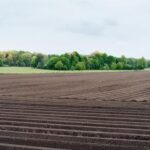 2025276期开奖结果查询与最新公布详情 his7dz