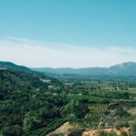 4684本港台开奖现场直播最新结果查询 wkiws38